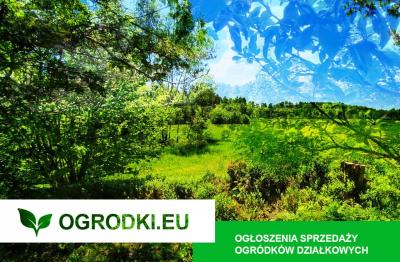 Projektowanie ogrodów, projekt ogrodu, wizualizacje, kostka brukowa